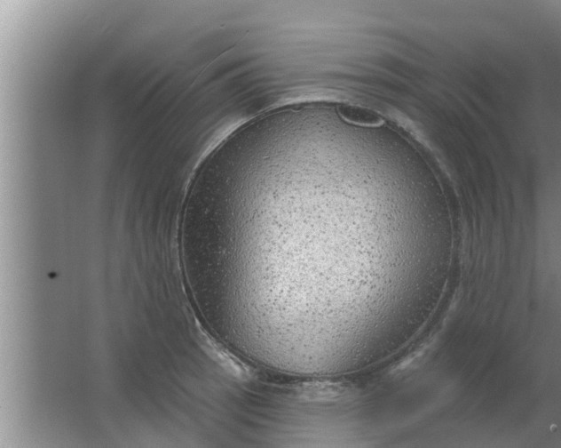 X0000063531137200602032129