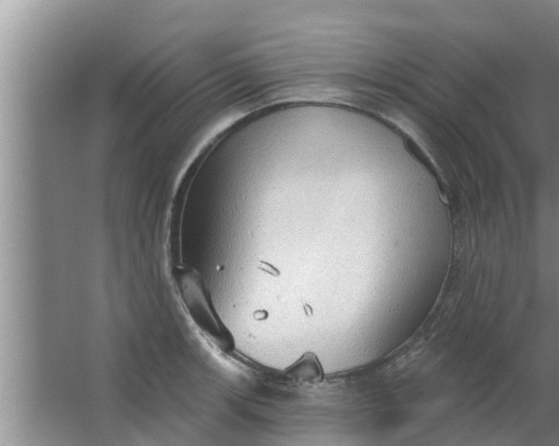 X0000063531139200602032129