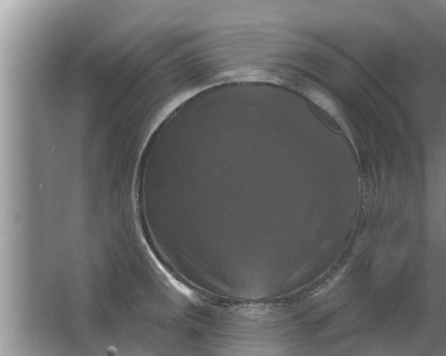 X0000063531141200602032129