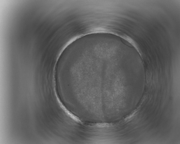 X0000063531142200602032129