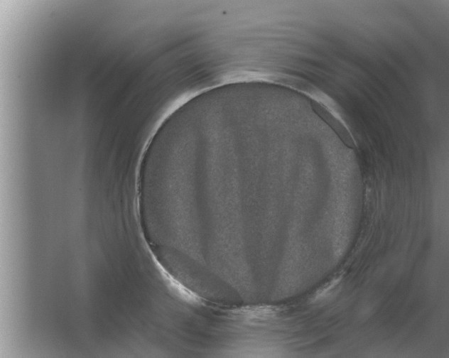 X0000063531143200602032129