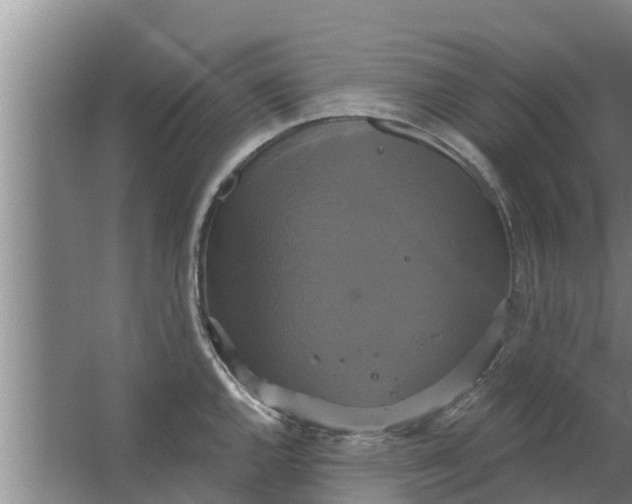 X0000063531144200602032129