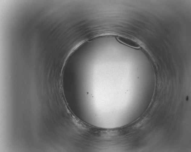 X0000063531145200602032129