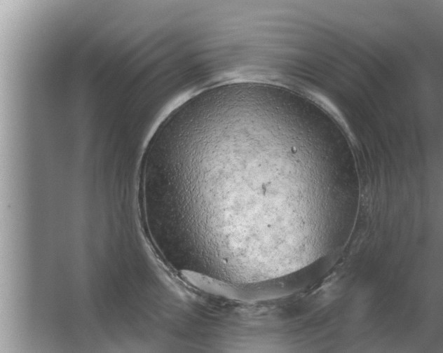 X0000063531146200602032129