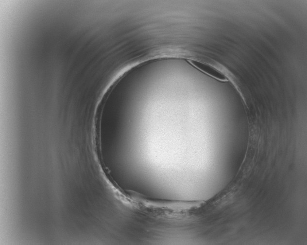 X0000063531147200602032129