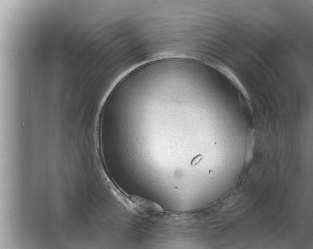 X0000063531148200602032129