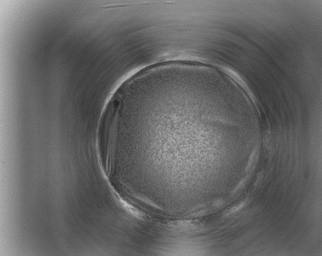 X0000063531149200602032129