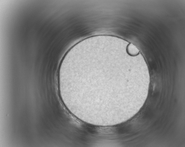 X0000063531150200602032129