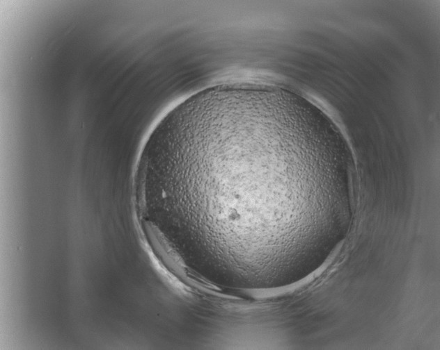 X0000063531152200602032129