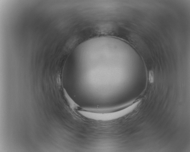 X0000063531155200602032129