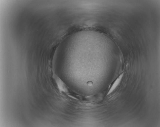 X0000063531156200602032129