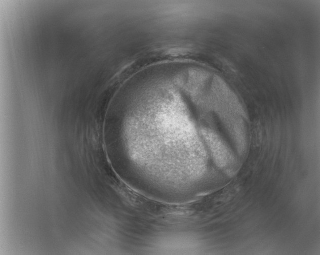 X0000063531158200602032129