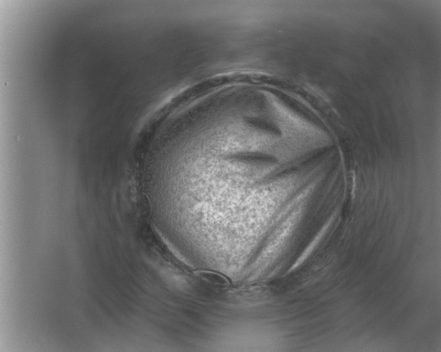 X0000063531159200602032129