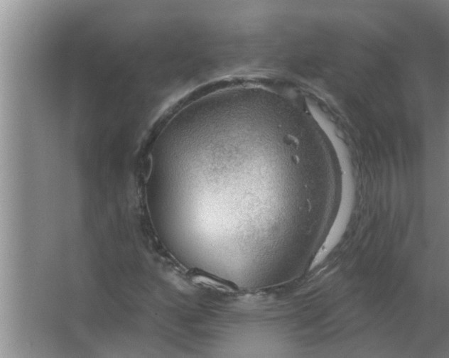 X0000063531160200602032129