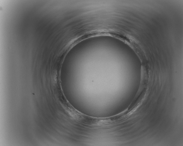 X0000063531161200602032128