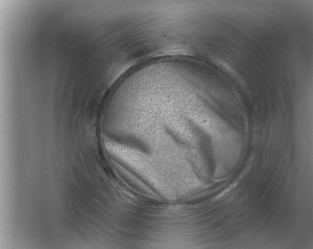 X0000063531162200602032128