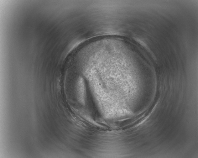 X0000063531163200602032128