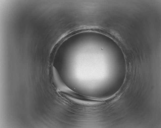 X0000063531165200602032128