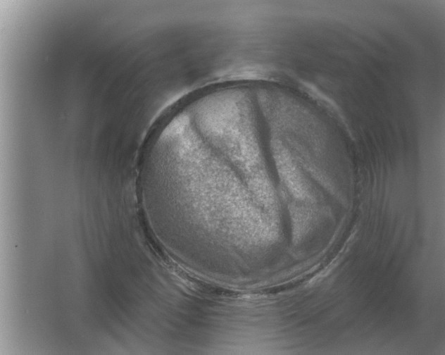 X0000063531166200602032128