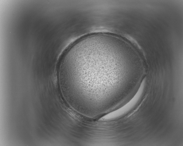 X0000063531167200602032128