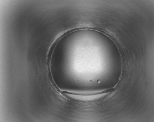 X0000063531168200602032128