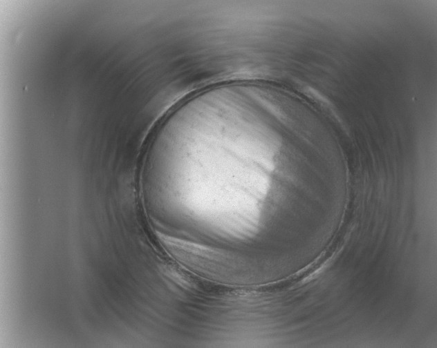 X0000063531170200602032128