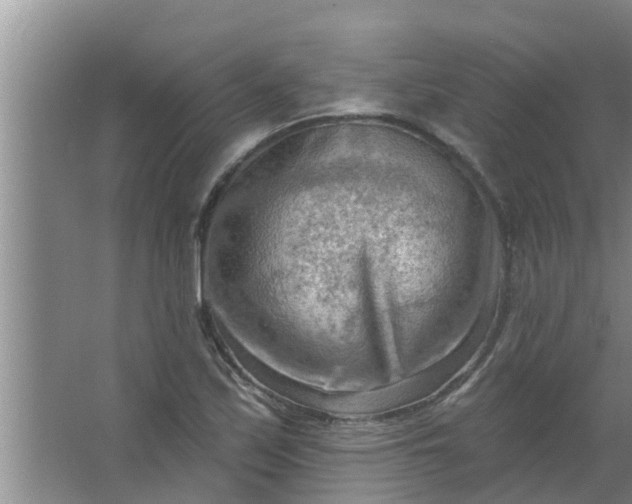 X0000063531171200602032128