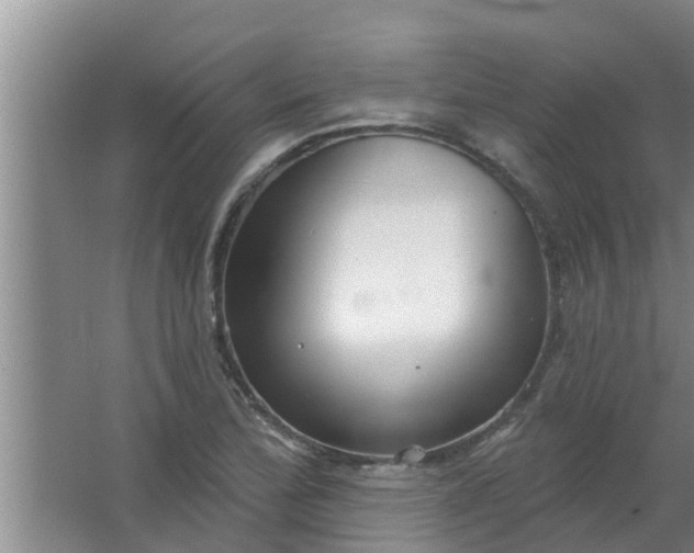 X0000063531172200602032128