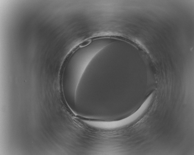 X0000063531173200602032128