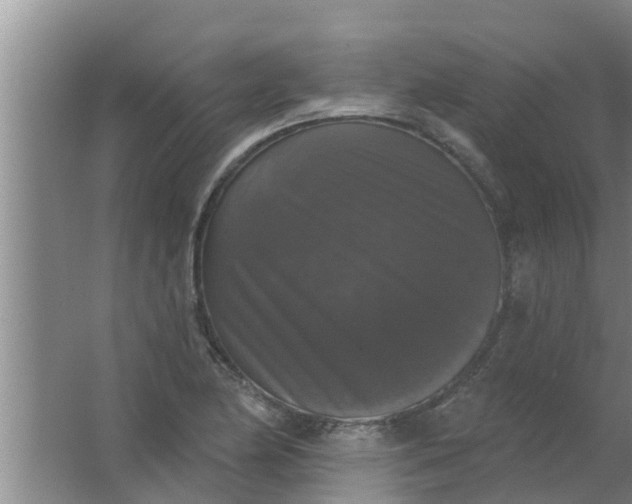 X0000063531174200602032128