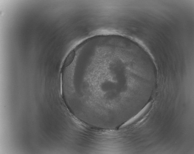 X0000063531175200602032128