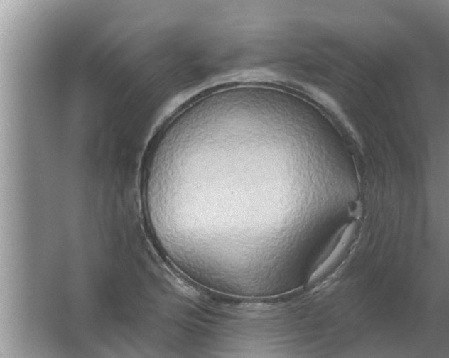 X0000063531176200602032128