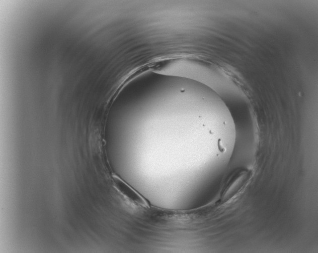 X0000063531177200602032128