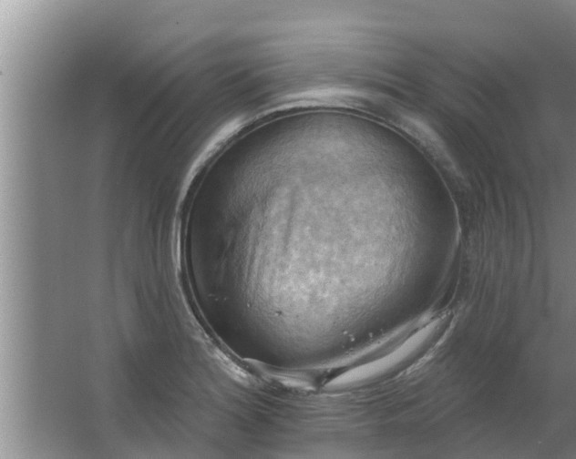 X0000063531180200602032128