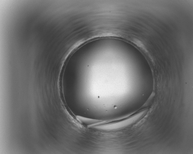 X0000063531181200602032128