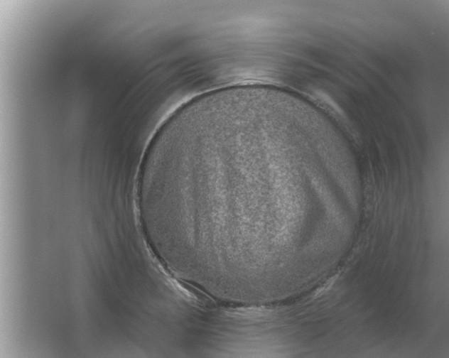 X0000063531182200602032128