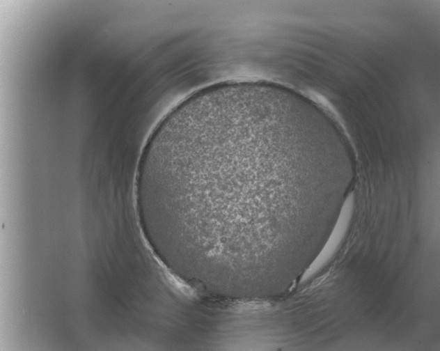 X0000063531183200602032128