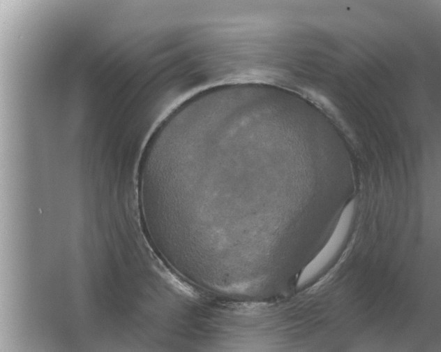 X0000063531184200602032128