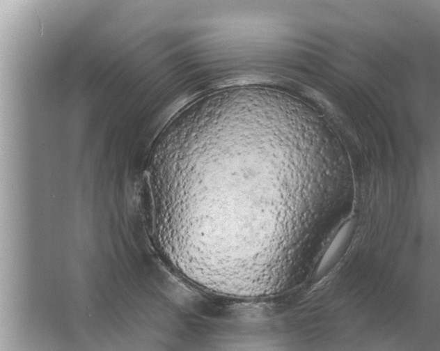 X0000063531185200602032128