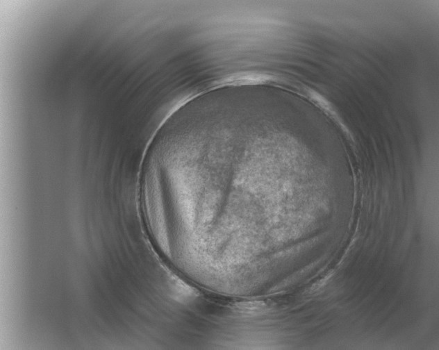 X0000063531186200602032128