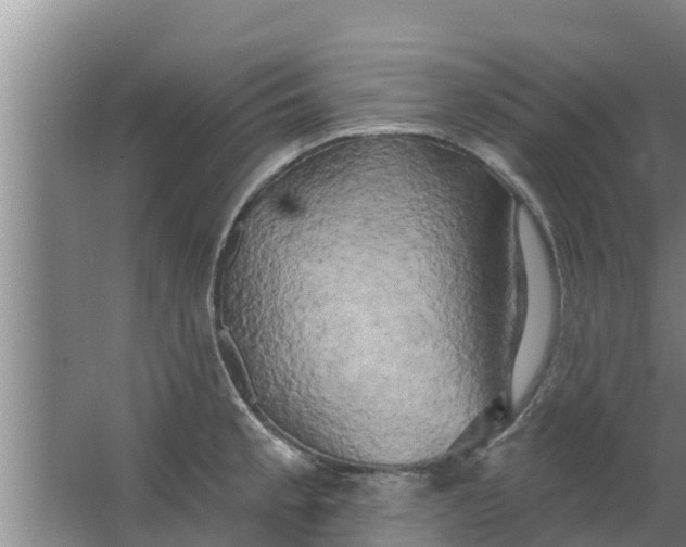 X0000063531189200602032128