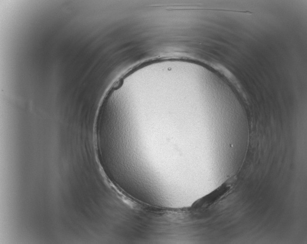 X0000063531191200602032128