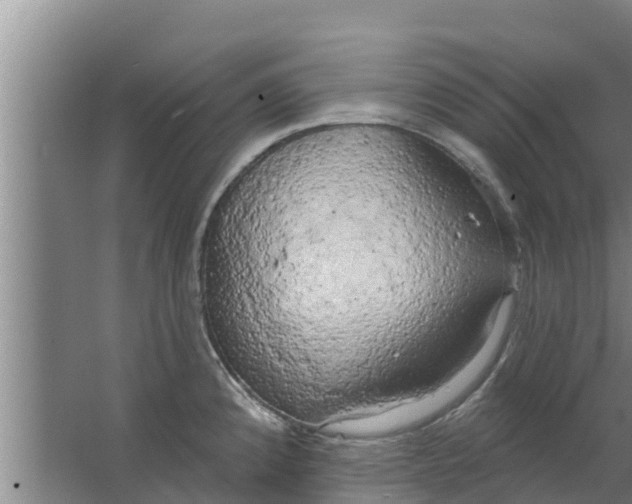 X0000063531192200602032128