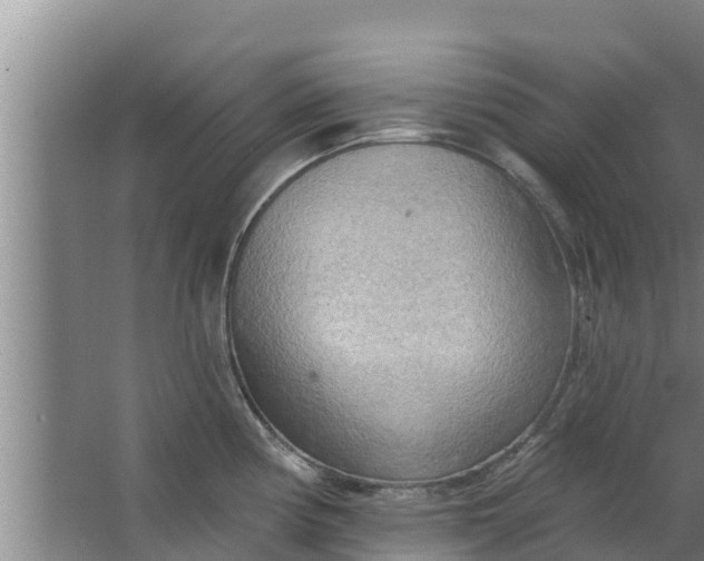 X0000063531194200602032128