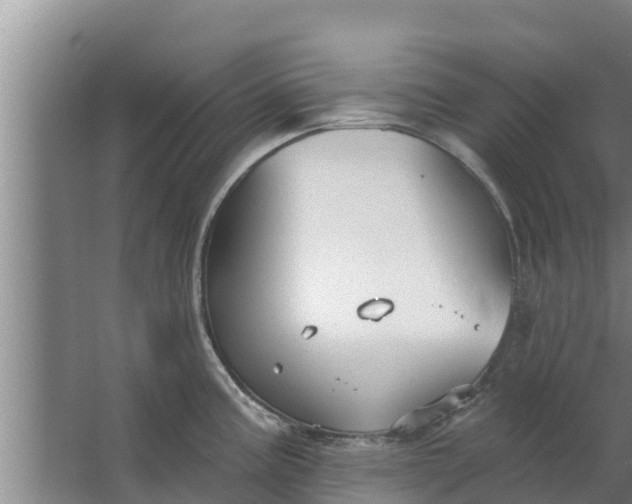 X0000063531195200602032128