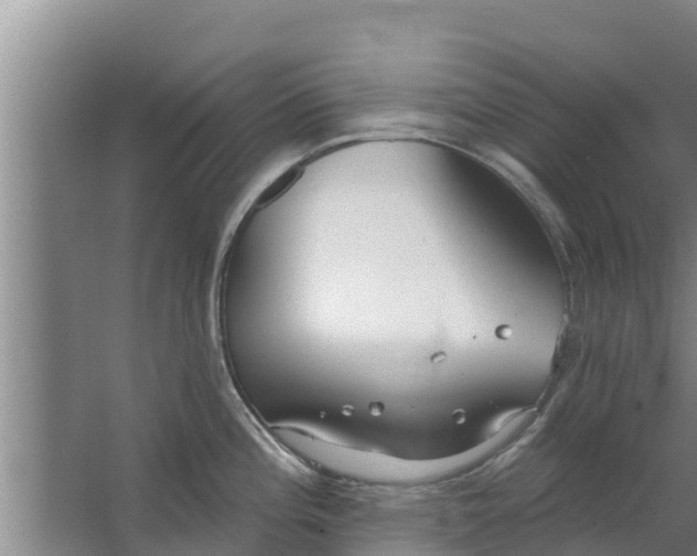 X0000063531196200602032128