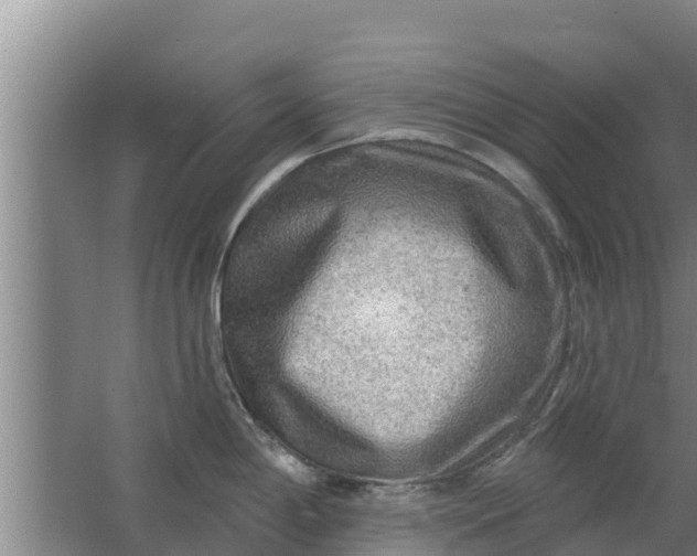 X0000063531198200602032128