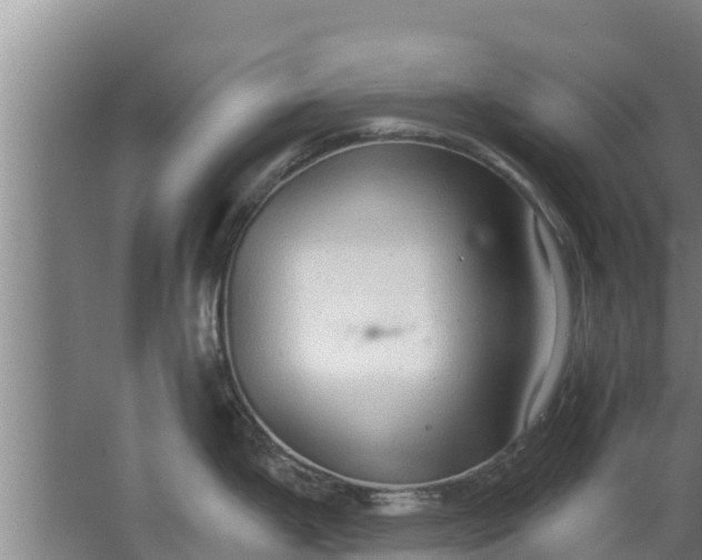 X0000063531199200602032128