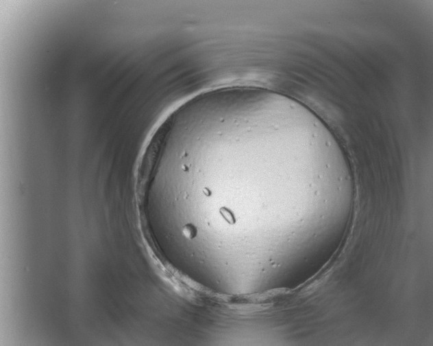 X0000063531200200602032128