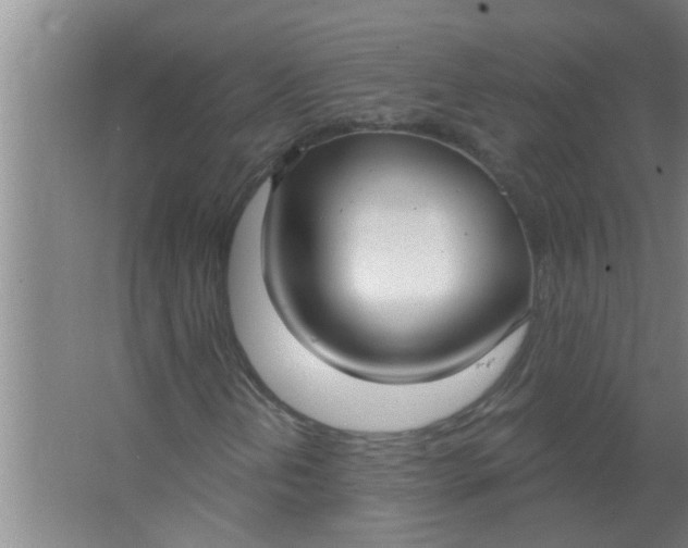 X0000063531202200602032127